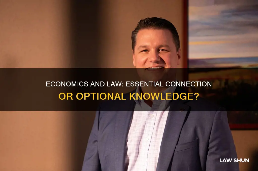 do you need economics for law