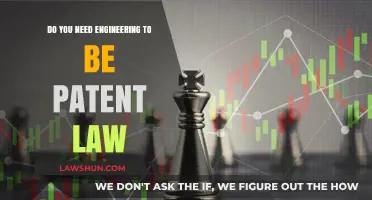 Engineering Expertise: Essential for Patent Law Success or Optional?