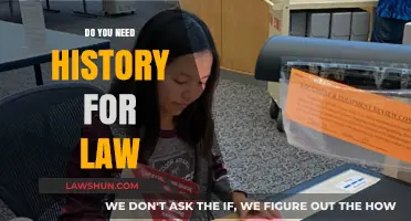 Understanding the Role of History in Legal Education and Practice