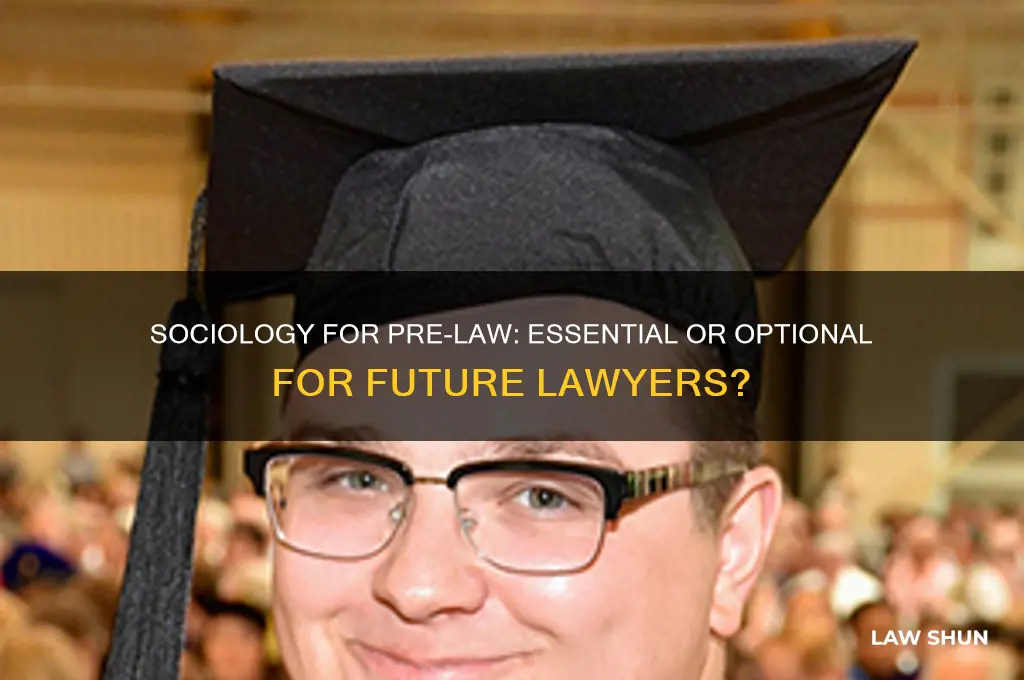 do you need sociology pre law majors