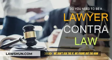 Understanding Contract Law: A Lawyer's Insight