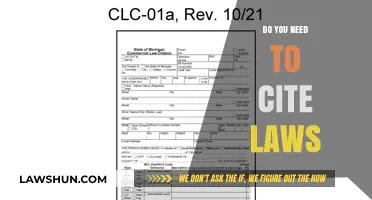 Citing Laws: Essential or Optional in Legal Writing?