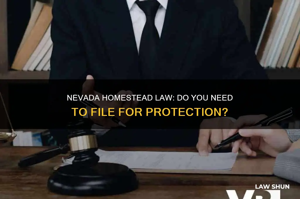 do you need to fill out homestead law nevada