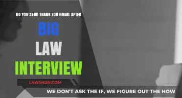 Should You Send a Thank You Email After a Big Law Interview?