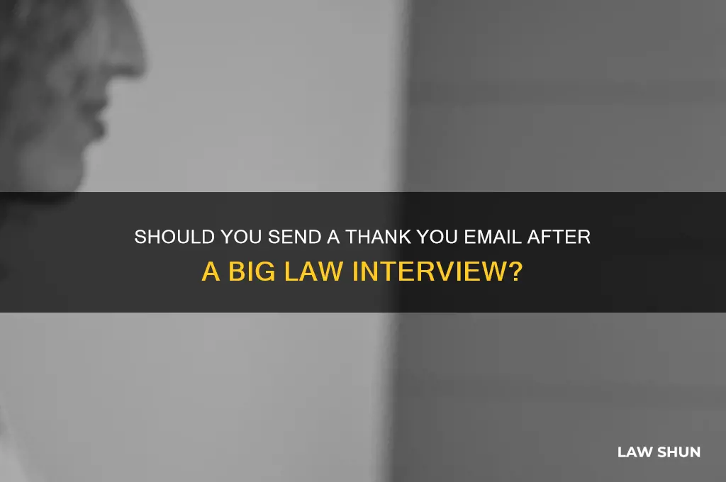 do you send thank you email after big law interview