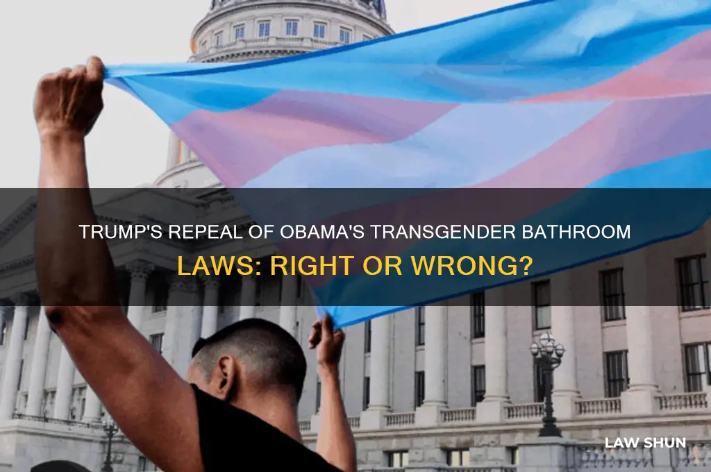 do you support trump repealing obama