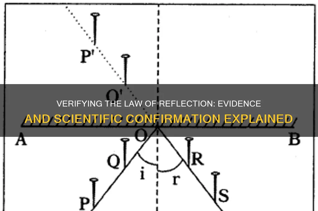 do you think the law of reflection was verified why