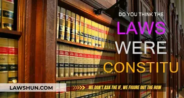 Were the Laws Constitutional?