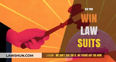 Winning Lawsuits: Strategies, Challenges, and Keys to Legal Success