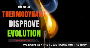 Does the Second Law of Thermodynamics Disprove Evolution?