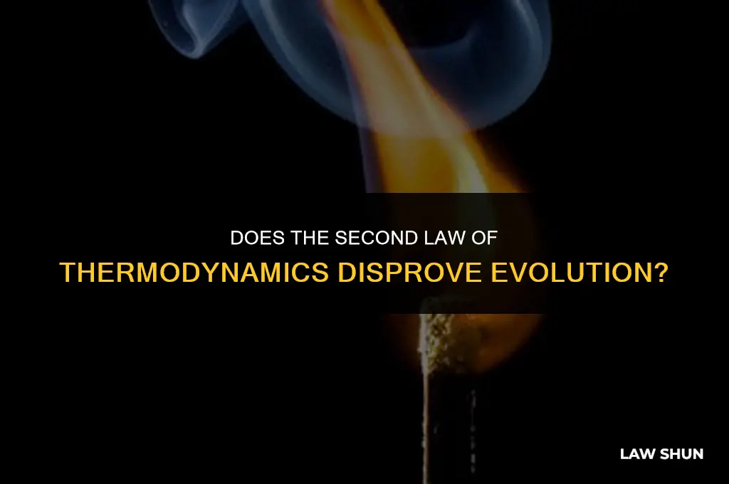 does 2nd law thermodynamics disprove evolution