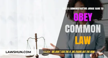 Administrative Judges: Bound by Common Law?