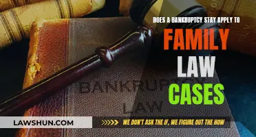 Bankruptcy Stay: Impact on Family Law Cases?