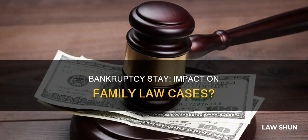 does a bankruptcy stay apply to family law cases