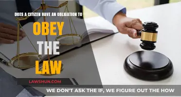 Citizen Duty: Obligation to Obey the Law or Question Authority?