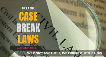 Civil Cases: Breaking Laws or Seeking Justice?