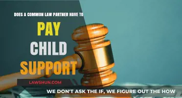 Child Support and Common-Law Partners: Who Pays?