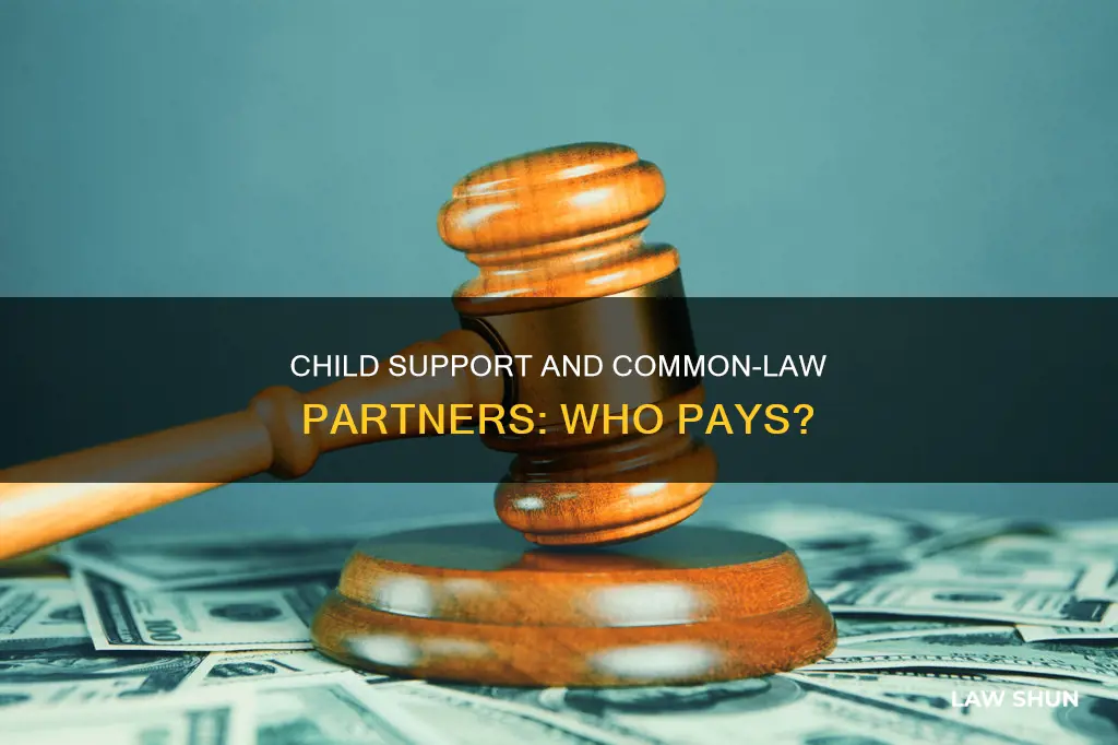 does a common law partner have to pay child support
