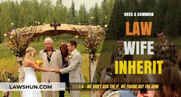 Understanding Inheritance Rights for Common-Law Wives