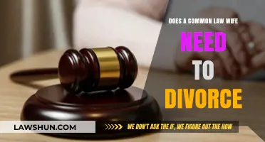 Common-Law Marriage: Divorce or Not?