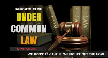 What is a Corporation? Exploring Common Law Existence