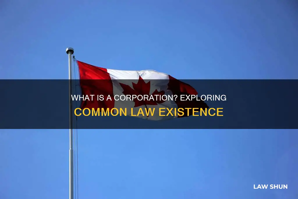 does a coporation exist under common law