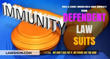 Can Court Magistrates Be Sued by Defendants? Legal Immunity Explained