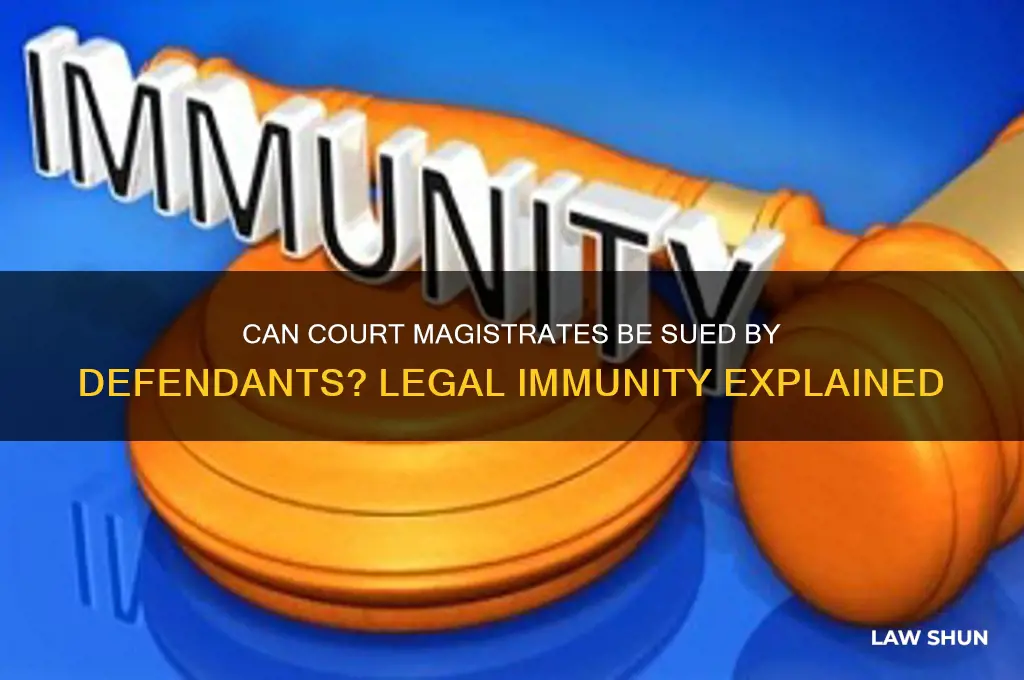 does a court magistrate have amnesty from defendent law suits