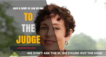 Does a Court of Law Belong to the Judge?