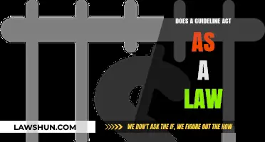 Guidelines vs. Laws: Understanding Their Legal Weight and Implications