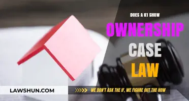 K-1 Forms: Ownership and Legal Implications
