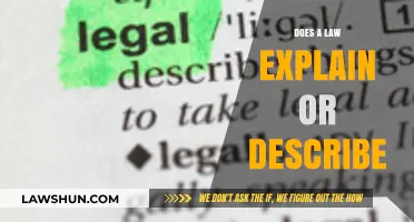 Exploring the Nuances: How Laws Both Explain and Describe