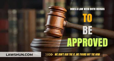 Does a Law Need Both Houses to Be Approved?