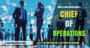 Chief of Operations in Law Offices: Role, Responsibilities, and Relevance