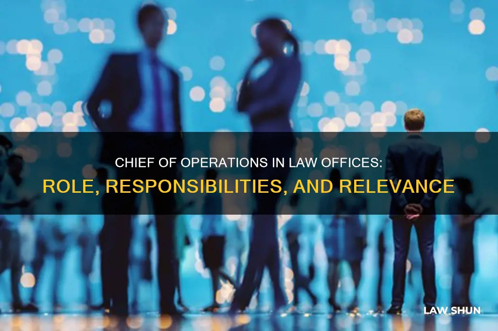 does a law office have a chief of operations