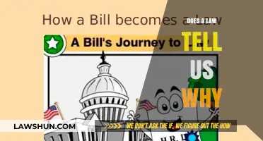 Unraveling the Mysteries: Does Legislation Explain the Why?