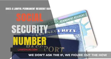 Do Lawful Permanent Residents Receive Social Security Numbers? Explained