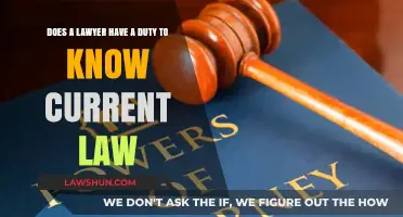 Legal Obligations: Must Lawyers Stay Updated on Current Law?