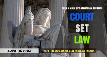 Does Supreme Court's Majority Opinion Establish Binding Legal Precedent?