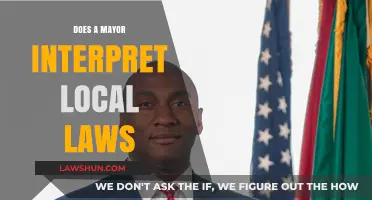 Decoding Local Governance: The Mayor's Role in Interpreting Local Laws
