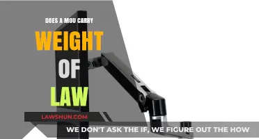 Does a MOU Hold Legal Weight? Understanding Its Binding Power