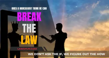 The Mind of a Narcissist: Above the Law?