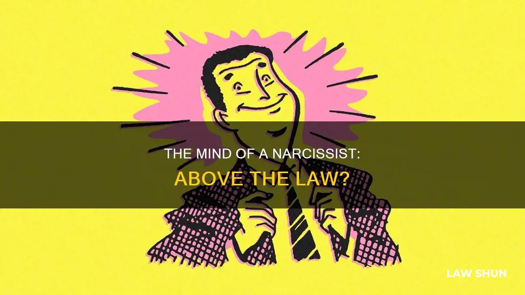 does a narcassist think he can break the law