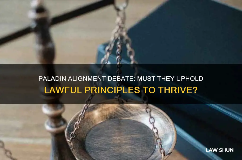 does a paladin need to be lawful