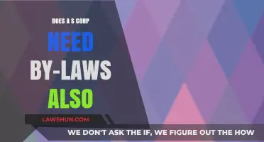 S Corp Bylaws: Are They Necessary for Your Business Structure?