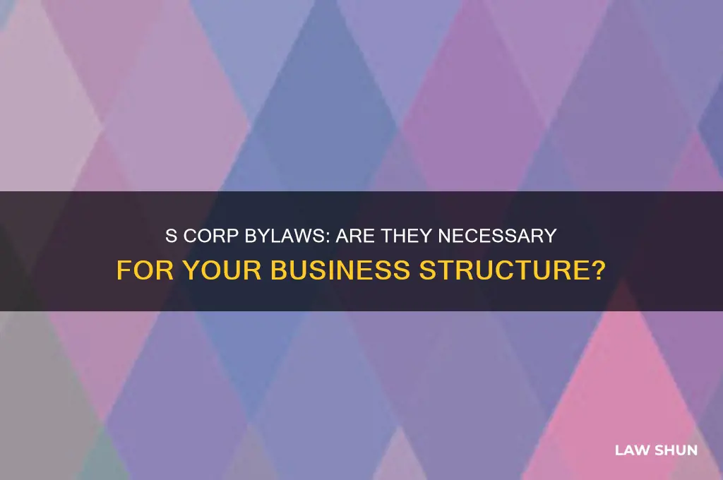 does a s corp need by-laws also
