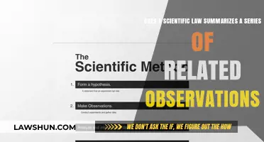 Scientific Laws: Summarizing Observations or Defining Universal Truths?