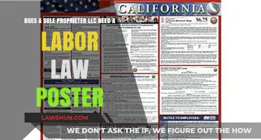 Sole Proprietor LLCs: Labor Law Poster Requirements Explained