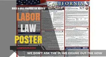 Sole Proprietors: Labor Law Poster Requirements Explained
