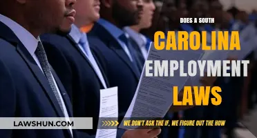 Navigating South Carolina Employment Laws: A Comprehensive Guide